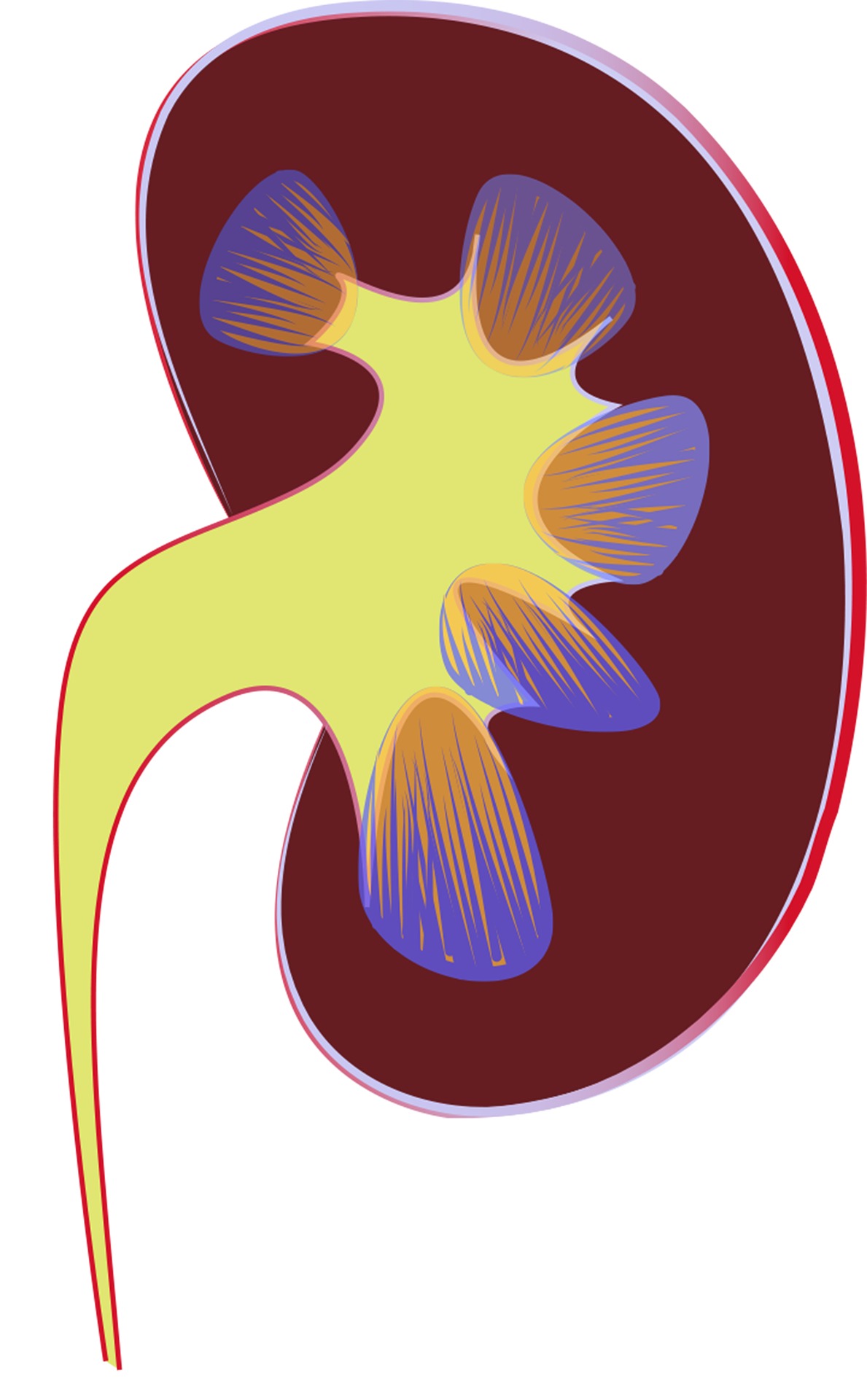 how to clear kidney fear